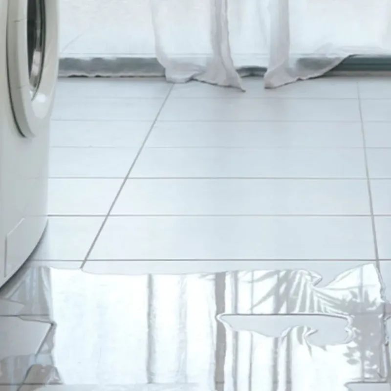 Appliance Leak Cleanup in Point Pleasant, WV