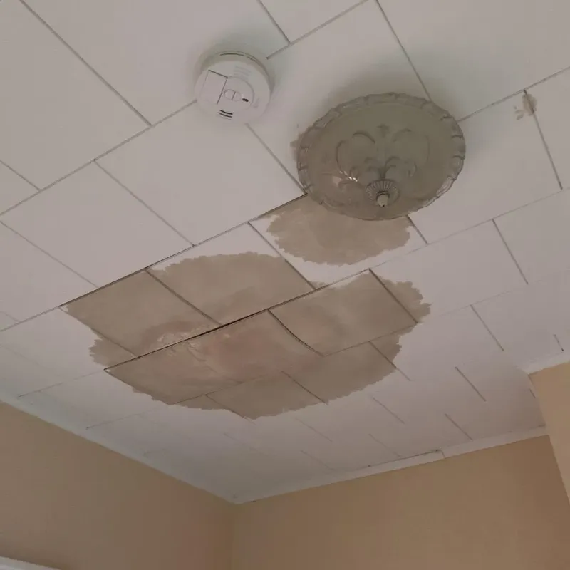 Ceiling Water Damage Repair in Point Pleasant, WV