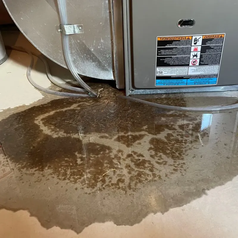 Pipe Burst and Leak Restoration in Point Pleasant, WV