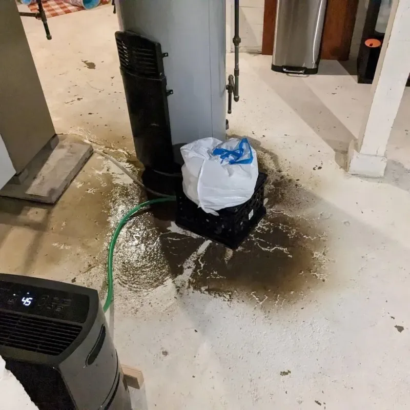 Sewage Backup Cleanup Service in Point Pleasant, WV